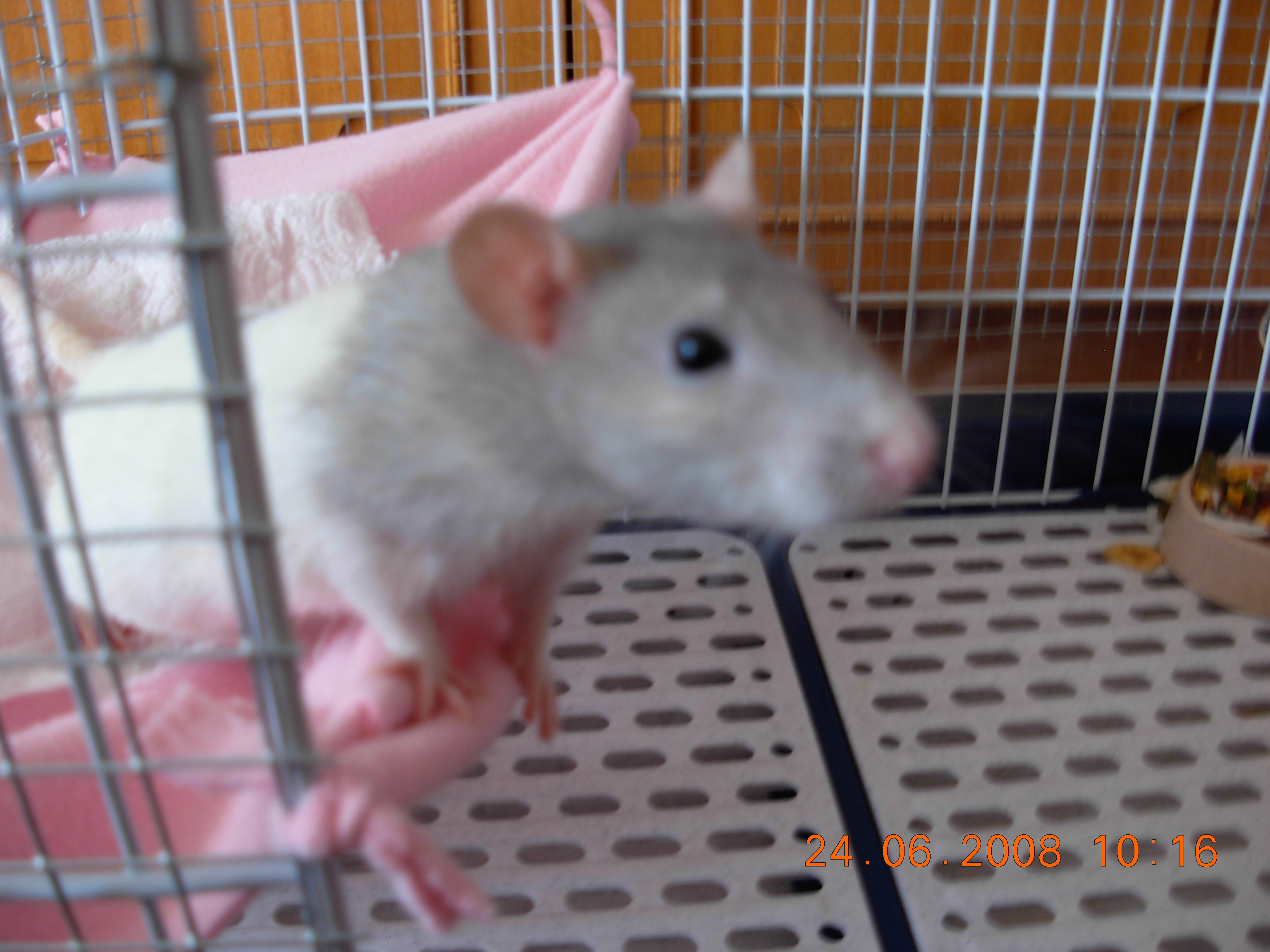 DSCN2087.JPG