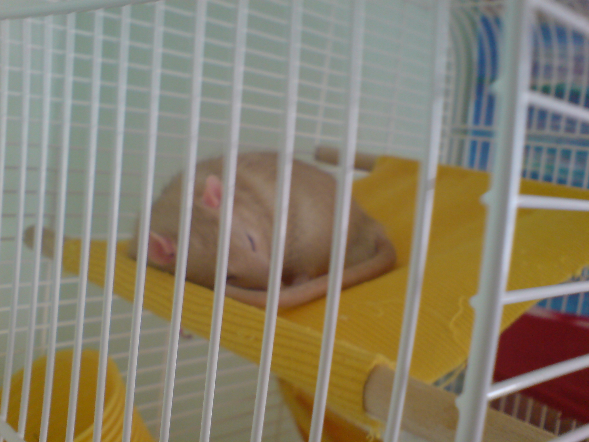 DSC00578.JPG
