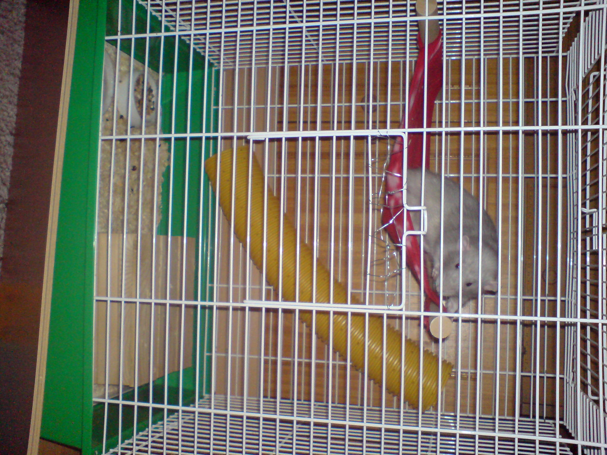 DSC00738.JPG