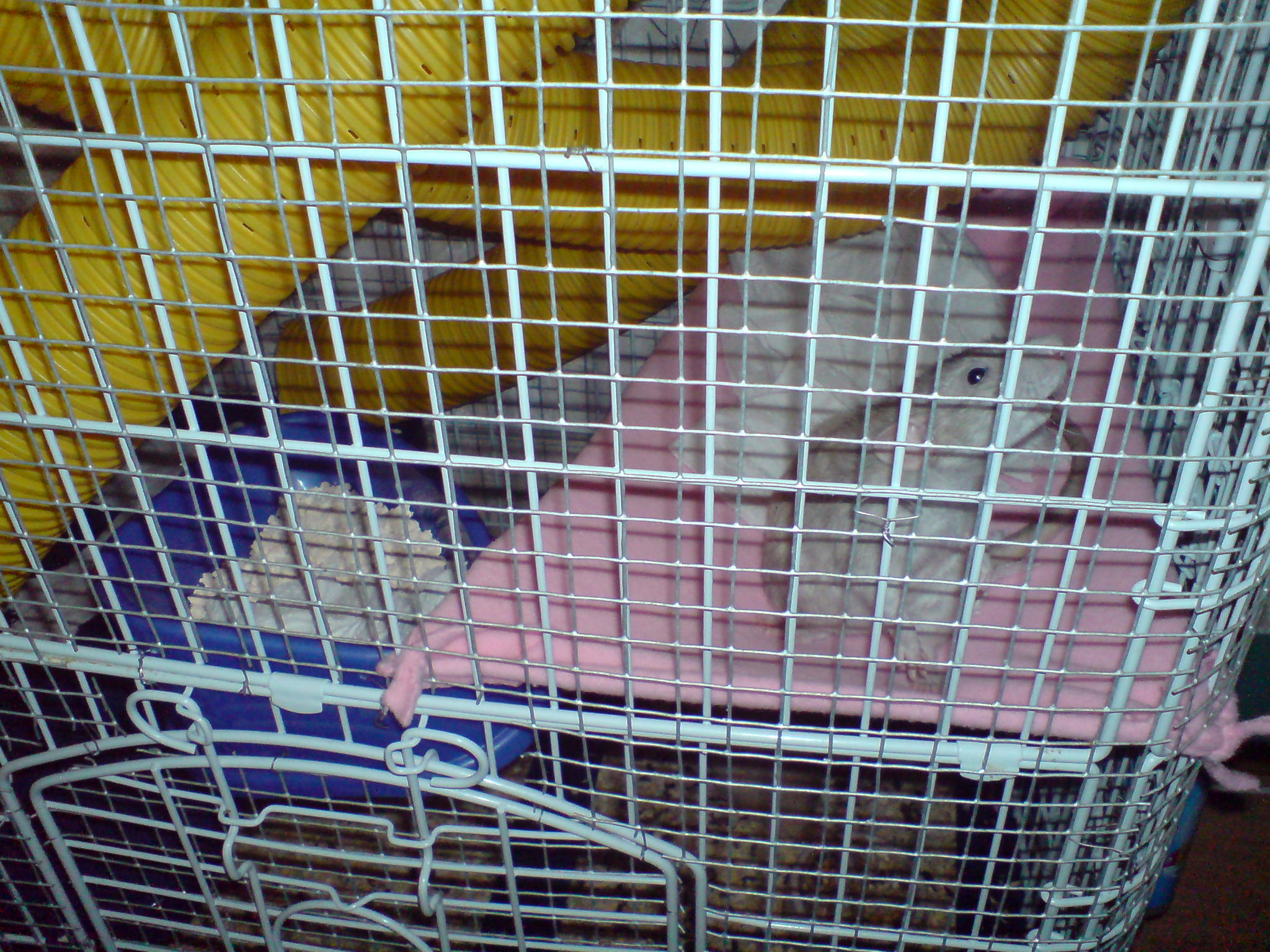 DSC01146.JPG